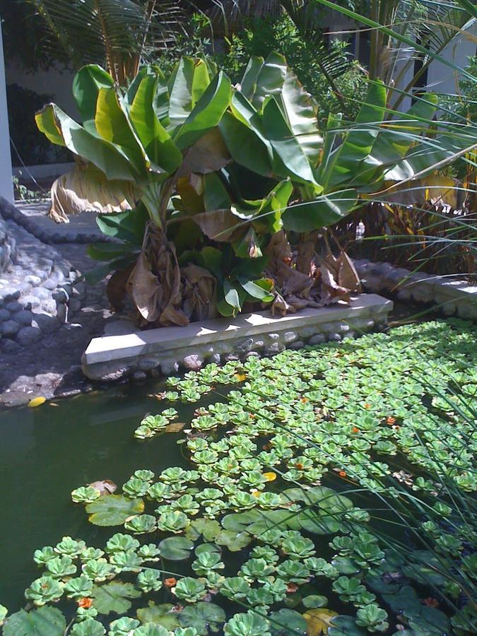 Garden Roomz Oman Muscat Ngoại thất bức ảnh