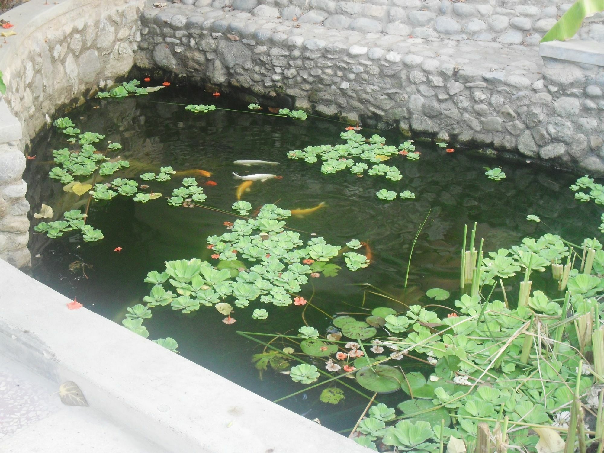 Garden Roomz Oman Muscat Ngoại thất bức ảnh